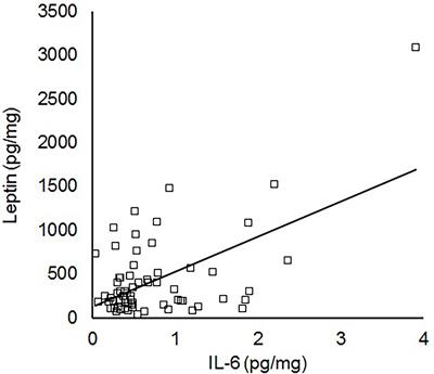 Umbilical Cord Blood Leptin and IL-6 in the Presence of Maternal Diabetes or Chorioamnionitis